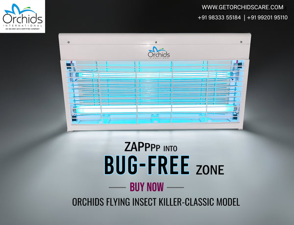 Flying Insect Killer Classic Model