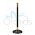 Orchids Classic Black & Gold Q Manager