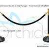 Orchids Classic Black & Gold Q Manager